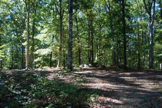 55 Dora Bush Hill Rd, Carlton, GA 30627-1806