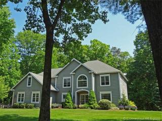 28 Whittles Way, Glastonbury, CT 06033-3936