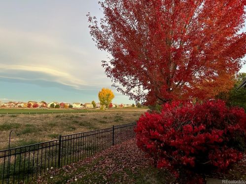 5175 Netherland St, Denver CO  80249-8240 exterior