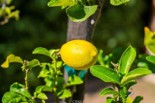 511 Century Dr, Anaheim CA  92805-2235 exterior