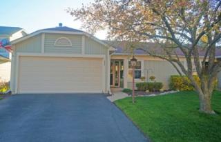 1898 Appaloosa Dr, Naperville, IL 60565-1793