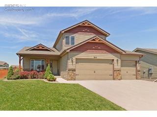 3610 Wine Cup St, Wellington, CO 80549-1838