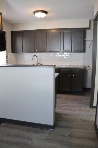 141 Guyer St, Hobart IN  46342-2945 exterior