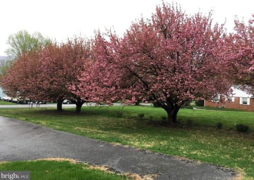 217 Elm St, Harpers Ferry WV 25425-6006 exterior