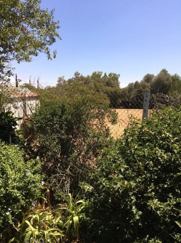 5653 Lewis Ave, Riverside CA  92503-8626 exterior