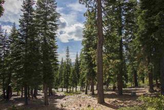 10986 Olana Dr, Truckee, CA 96161-4286