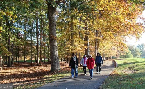 15115 Interlachen Dr, Silver Spring MD 20906-5636 exterior