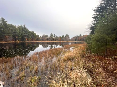 225 Brimstone Rd, Maxfield, ME 04453-5234