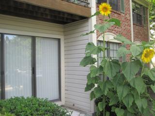 20 Baldwin Ct, Basking Ridge NJ  07920-3091 exterior