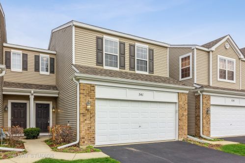 541 Springbrook Trl, Oswego IL  60543-4005 exterior