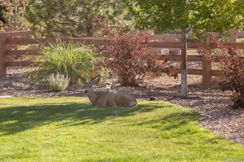 4981 Sedona Cir, Parker CO  80134-4528 exterior