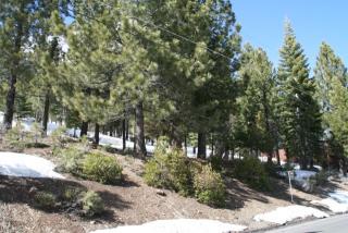 12850 Stockholm Way, Truckee, CA 96161-6943