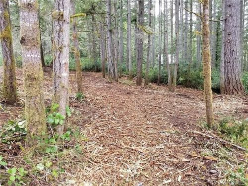 9020 Davenport Rd, Dupont, WA 98303-9763