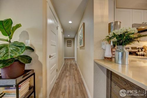 3015 Sheridan Ave, Loveland CO 80538-2647 exterior