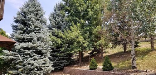 22000 Laurel Oak Dr, Parker, CO 80138-8449