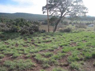 1902 State Highway 96, Gallina, NM 87017