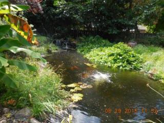 17104 Binddale Ct, Portland, OR 97224-7605