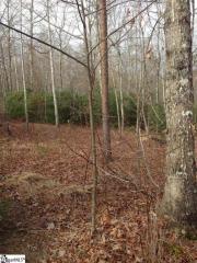 141 Duck Hawk Way, Marietta, SC 29661-5143