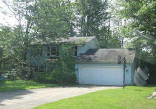 1100 Fanwood Ct, Concord Township, OH 44077-5440