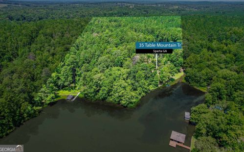35 Table Mountain Trl, Mayfield, GA 31087-6305