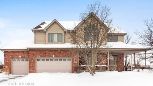 8335 Forestview Ct, Frankfort, IL 60423-8965