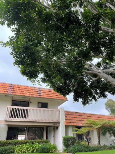 2823 Via Carrio, Carlsbad, CA 92010-8340
