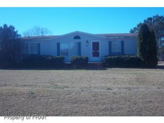 813 Sandlot St, Stedman, NC 28391-9425