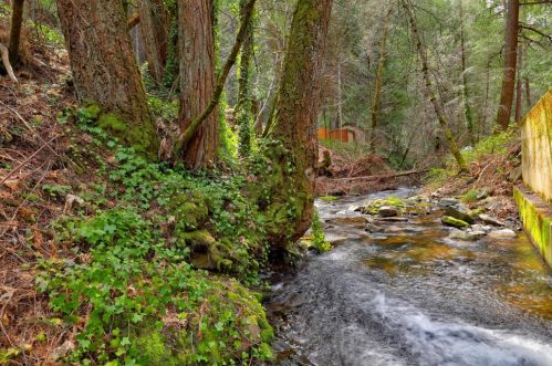 5480 Clear Creek Rd, Swansboro Country, CA 95667-8160