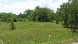 85 Wake Forest Rd, Sardis, TN 38371-5139