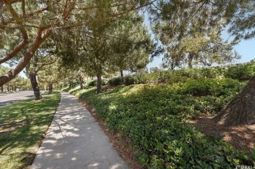202 Coral Rose, Irvine CA  92603-0162 exterior