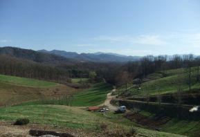 1407 Laurel Dr, Canton, NC 28716-7927