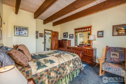 1601 Zermatt Trl, Estes Park CO exterior