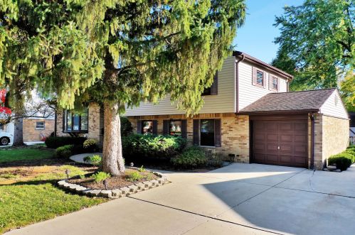 1343 Dorothy Dr, Palatine, IL 60074-5747