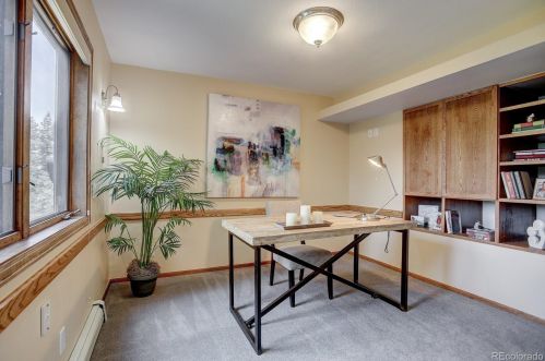 3913 Mountainside Trl, Lakewood CO exterior