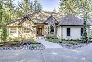35601 Ammeter Rd, Washougal, WA 98671-8449