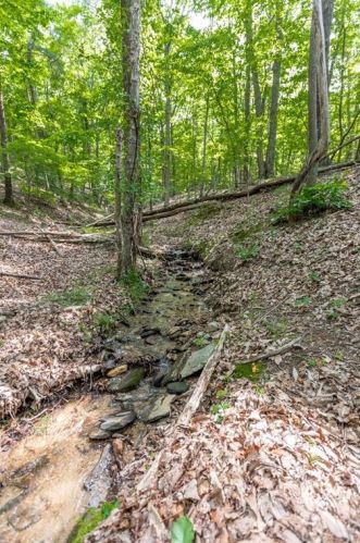 1286 Oglethorpe Mountain Rd, Big Canoe, GA 30143-7990
