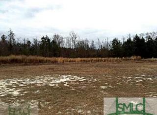 125 Fairhaven Ct, Pineora, GA 31312-5344