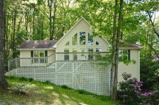68 Golden Mist Ct, Sapphire, NC 28774-6613