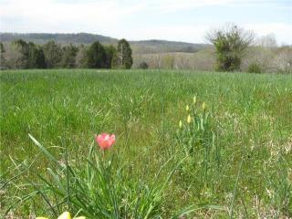6201 River Rd, Columbia, VA 23038-2409