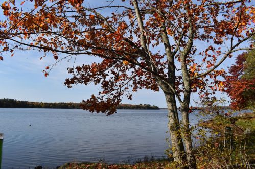 21 Amasa Pl, Stetson, ME 04488-3533