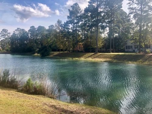 4185 Deep Step Dr, Ravenel, SC 29470