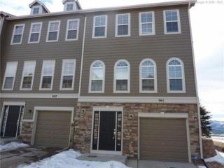 941 Burning Bush Pt, Woodmoor CO  80132-8652 exterior