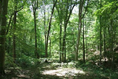 78 Gilmore Ridge Rd, Cloud Crest Hills, IN 47448