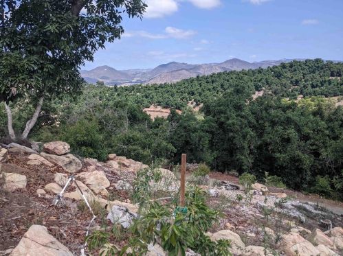 10305 Camino Del Venado, Valley Center, CA 92082-3507