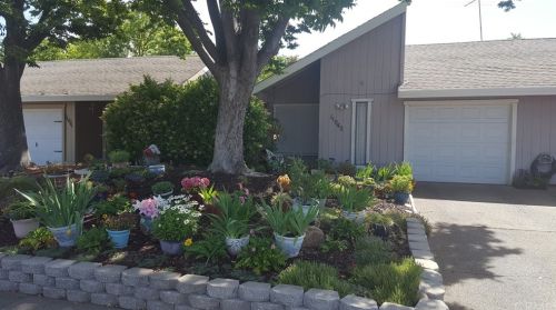 11040 Hirschfeld Way, Rancho Cordova, CA 95670-5252