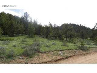 111 Mount Fisher Ct, Red Feather Lakes, CO 80536-8778