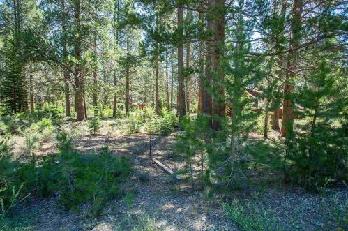 11861 Bottcher Loop, Truckee CA  96161-2793 exterior