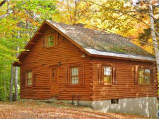 92 Trailside Rd, Grahamville VT  05149-9613 exterior