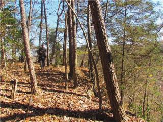 590 Haynes Rd, Sewanee, TN 37375-4015