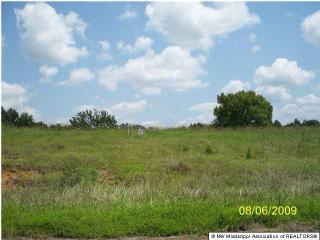 35 Byhalia Creek Farms Rd, Byhalia, MS 38611